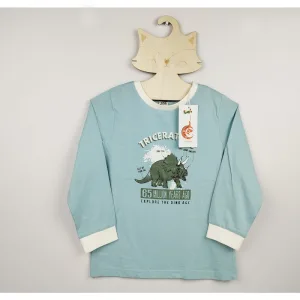 Boys long sleeve t shirts BD Online