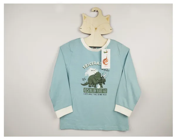 Boys long sleeve t shirts BD Online