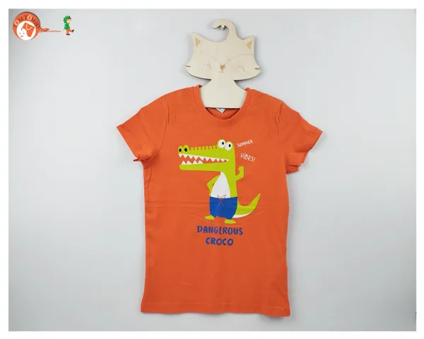 kids t shirts boys combo