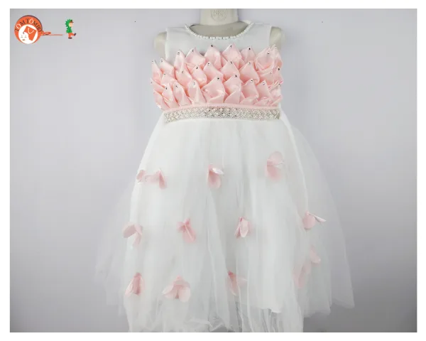 Premium Party Dress for girls