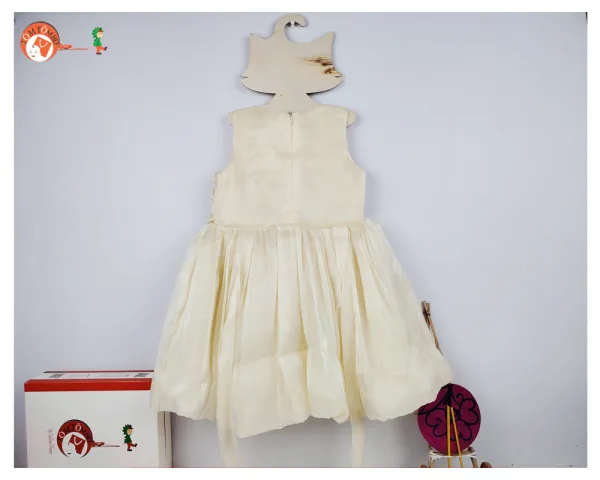 Girls Party Frock