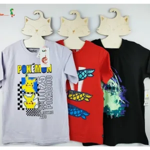 Boys Regular Fit T-Shirt Brand: Tom Tom BD